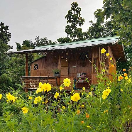 Baan 2 Dao Farmstay Chiang Dao Exteriér fotografie