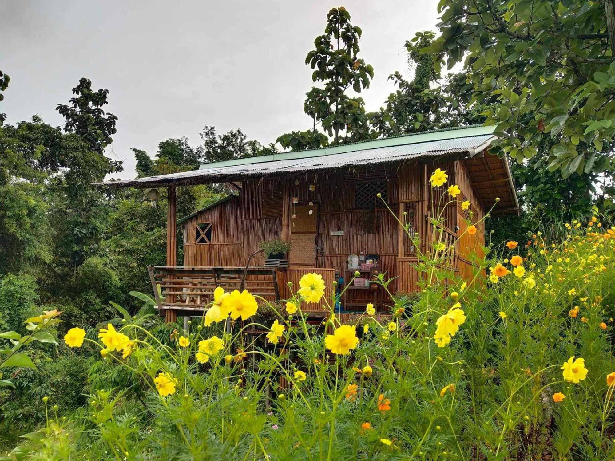 Baan 2 Dao Farmstay Chiang Dao Exteriér fotografie
